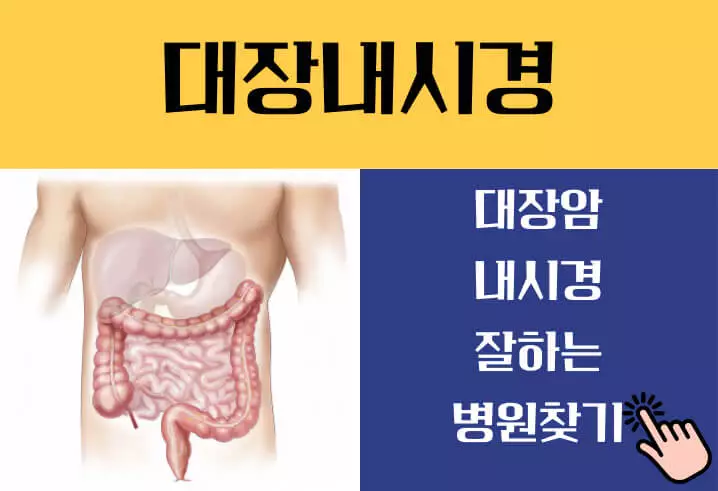 대장내시경 전 먹어도 되는음식 확인필