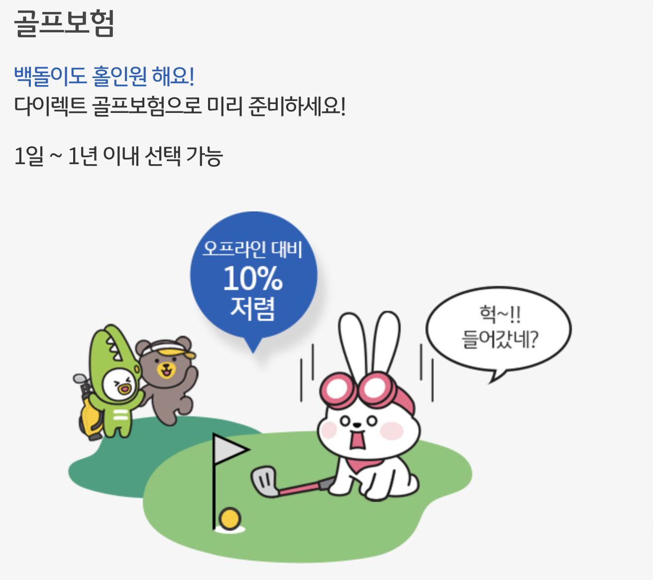 KB 골프보험