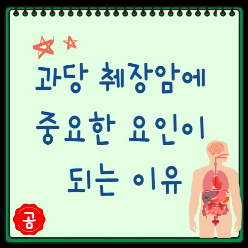 과당 췌장암에 중요한 요인이 되는 이유