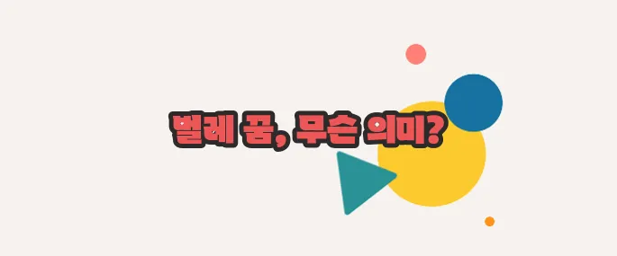 벌레 꿈해몽 이쯤에서 한번 알아볼까요