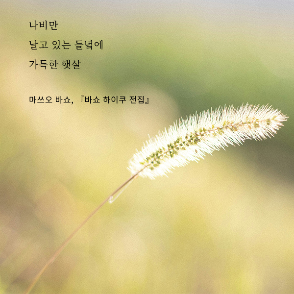 들녘에 이미지
