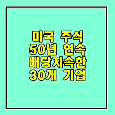  미국 주식 50년 이상 배당금(주) 성장주 투자예상 30개 기업