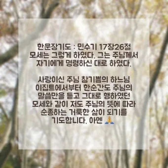 민수기 22장 발락과 발람 묵상_19