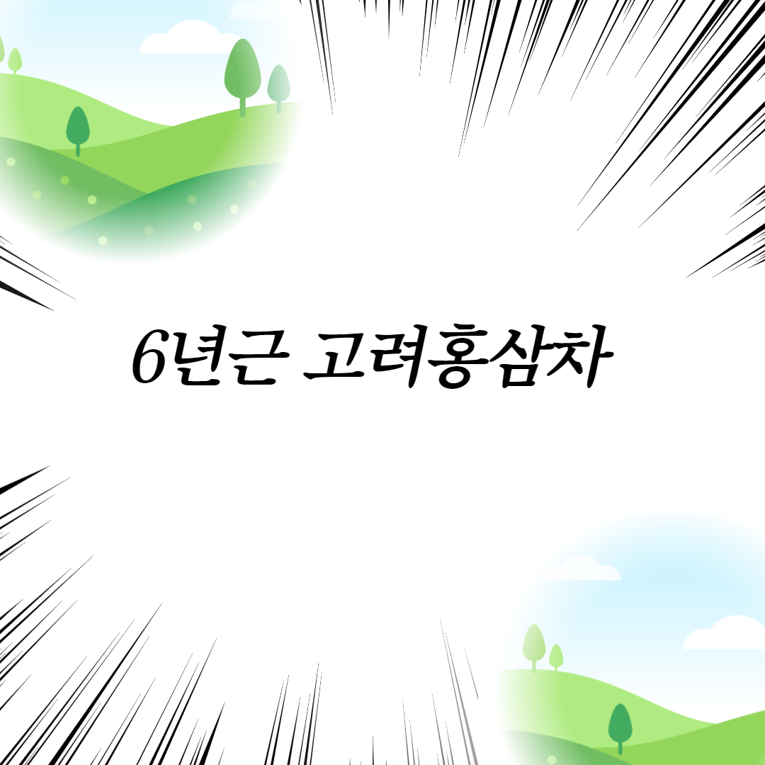  6년근 고려홍삼차
