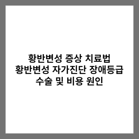 황반변성 증상 치료법 황반변성 자가진단 장애등급 수술 및 비용 원인