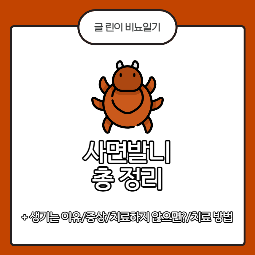  사면발니 총 정리