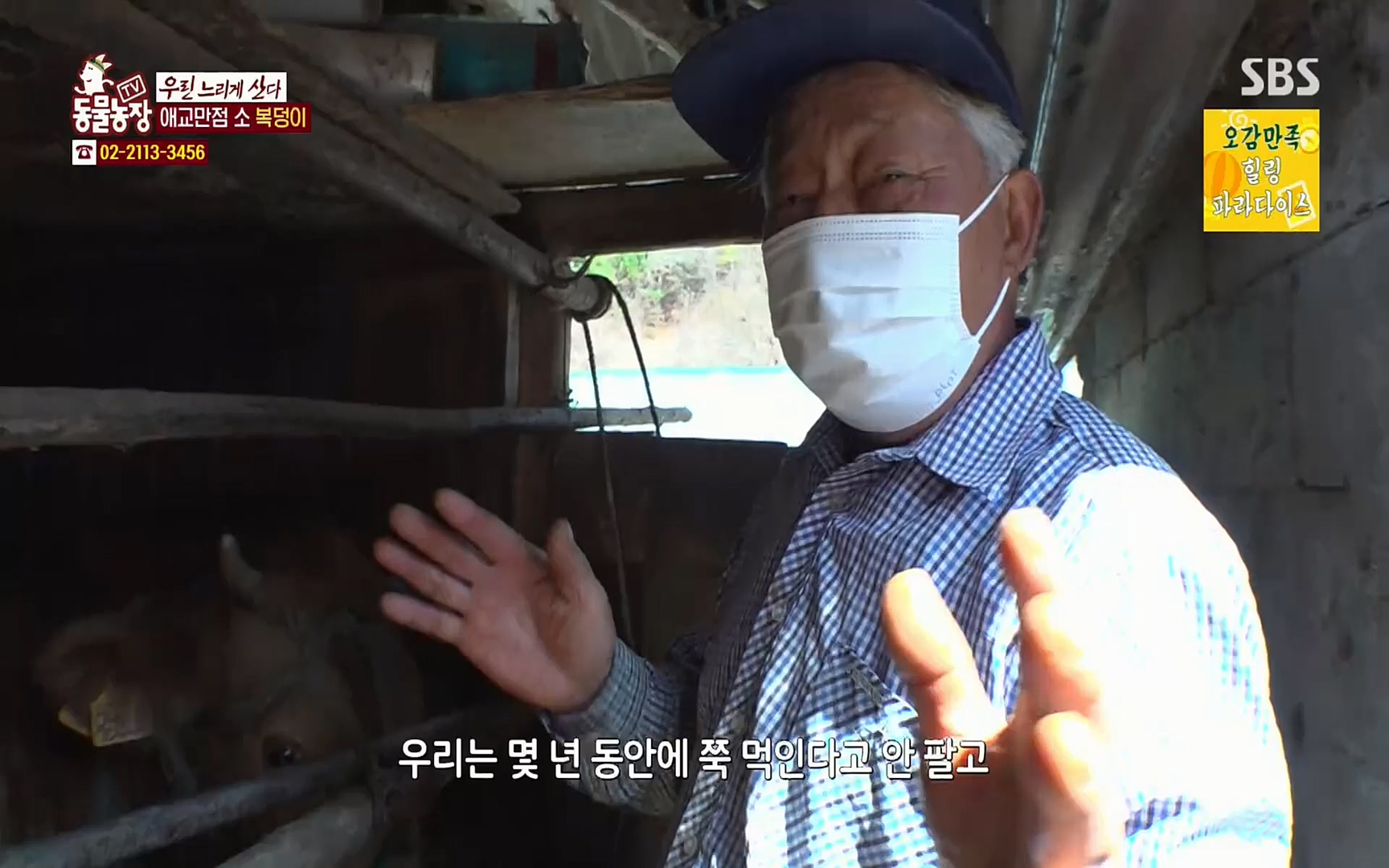 TV 동물농장.E1067.220501p.H264-F1RST.mp4_20220501_183547.118.jpg