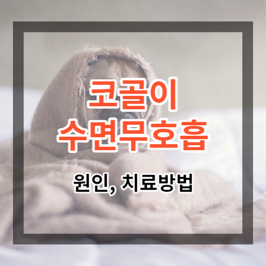  코골이 및 수면무호흡 원인과 치료방법, 줄이는 습관 알아보기