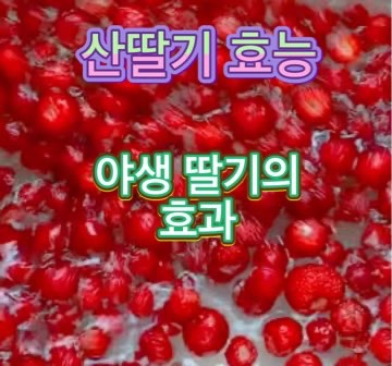 산딸기-나무-효능-효과