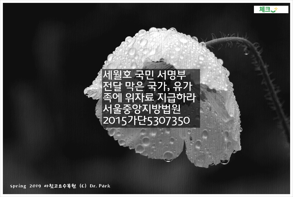 세월호 국민 서명부 靑 전달 막은 국가&#44; 유가족에 위자료 지급하라