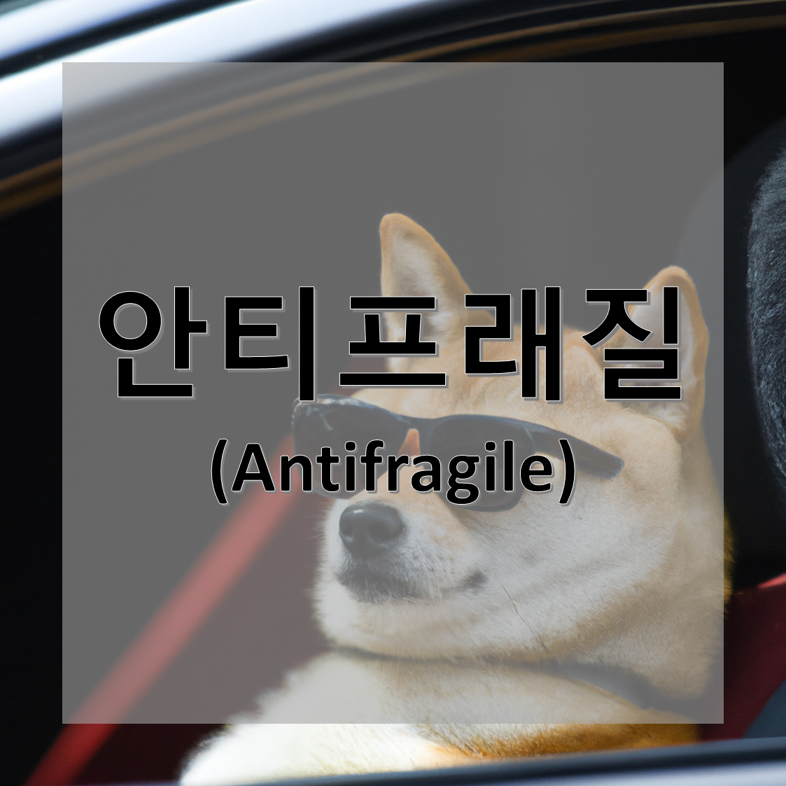 안티프래질(Antifragile)