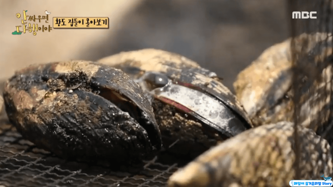  안싸우면 다행이야 '현주엽 섭먹방' - 섭과 홍합의 차이