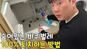 바퀴벌레 퇴치방법