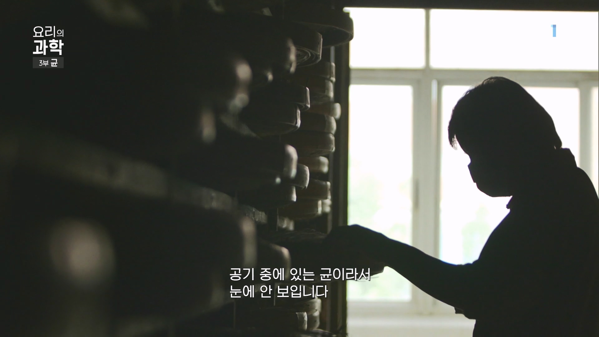 EBS 다큐프라임.201207.요리의 과학 - 3부 균0p.mp4_20240411_202628.161.jpg