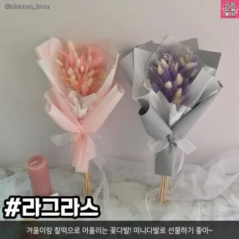 예쁜 꽃말 추천 모음 이해할수록 매력적인 꽃들의 꽃말 안내 모음_7