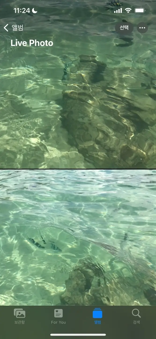 아이폰-라이브포토