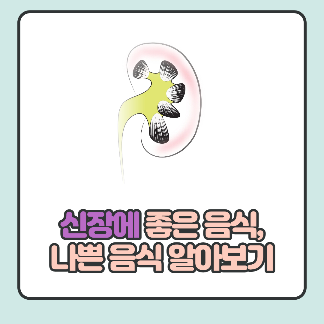  신장에 좋은 음식 나쁜 음식 각 5가지 식 알아보기!