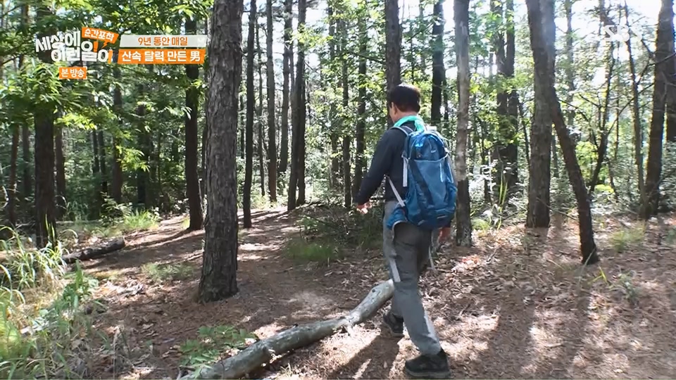 순간포착 세상에 이런일이.E1236.230708p.H264-F1RST.mp4_20230709_171135.422.jpg