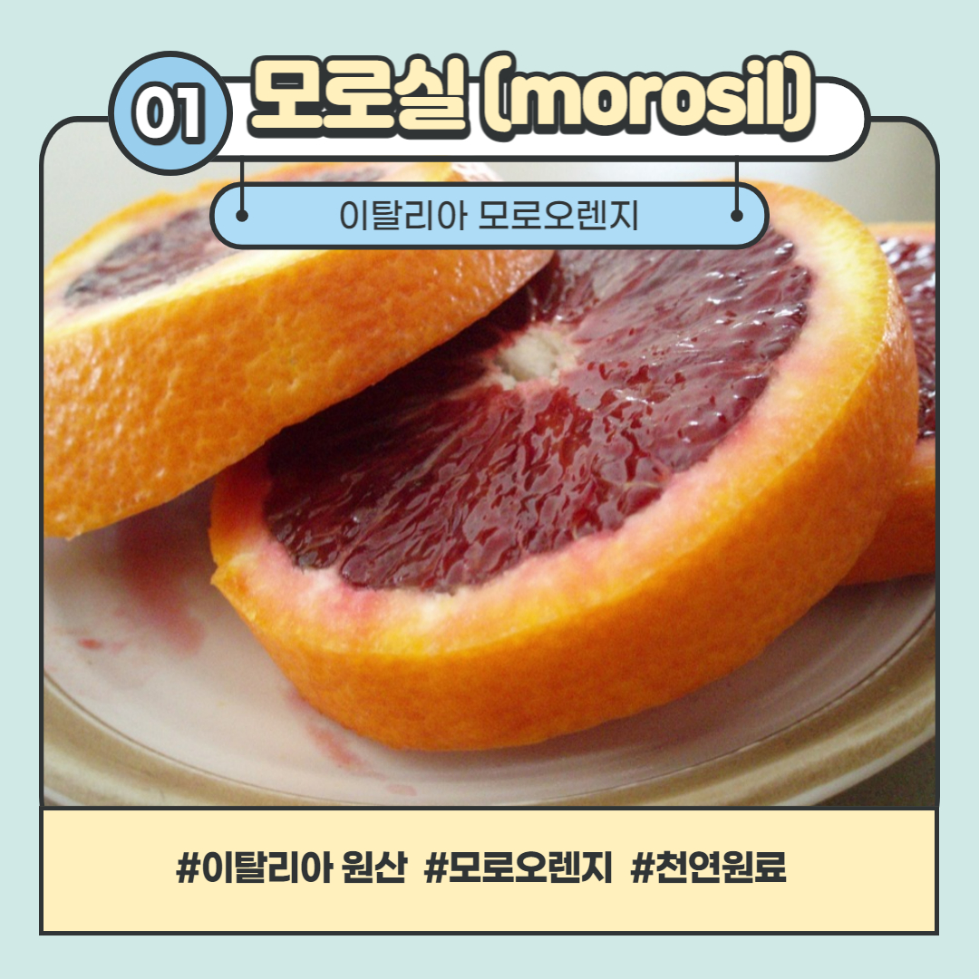 모로실에서 추출한 과일인 모로오렌지 일러스트