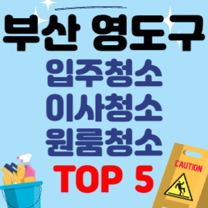 부산 영도구 입주청소 이사청소 원룸청소 전문 후기 업체 추천 견적 비용 가격 비교 TOP 5