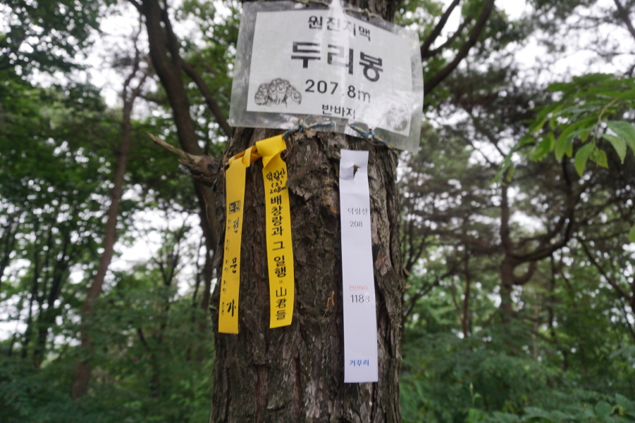 원진비닐루 이미지