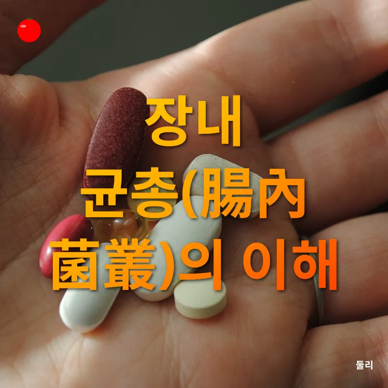 장내 유익균과 정신건강_1