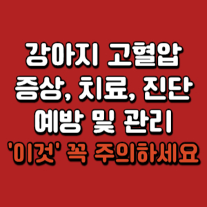 강아지-고혈압