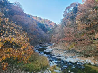 홍천 가볼만한곳 베스트10 여행 당일치기 코스_22