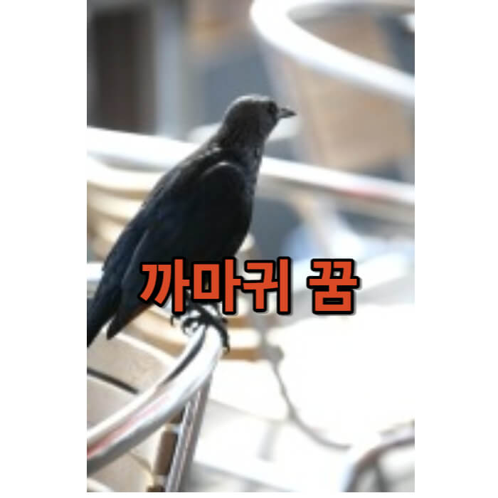 까마귀 꿈