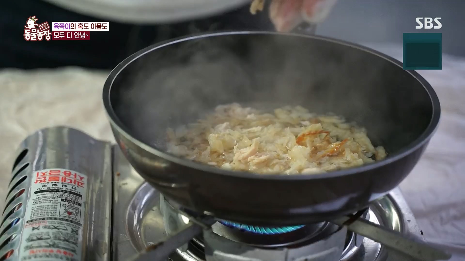 TV 동물농장.E1100.221218p.H264-F1RST.mp4_20221218_183457.161.jpg