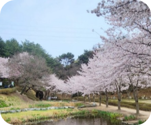 화동못 수변공원