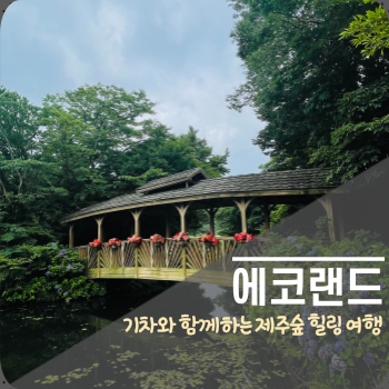  제주 기차여행? 아이와 가볼만한 에코랜드! 여름의 숲속 힐링~