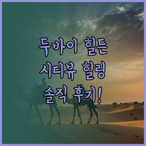 알 합투르 시티 힐튼 두바이 숙박 후