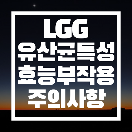 LGG 유산균 효능