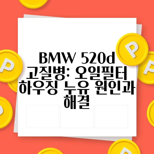 BMW 520d 고질병: 오일필터 하우징 누유 원인과 해결