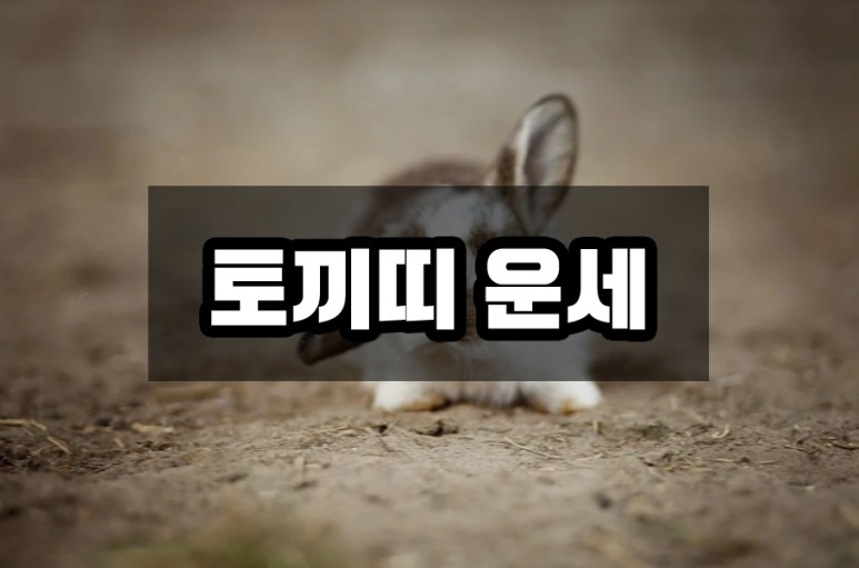 상극 나이 모두 알아봐요 2022년 토끼띠 운세 궁합 2