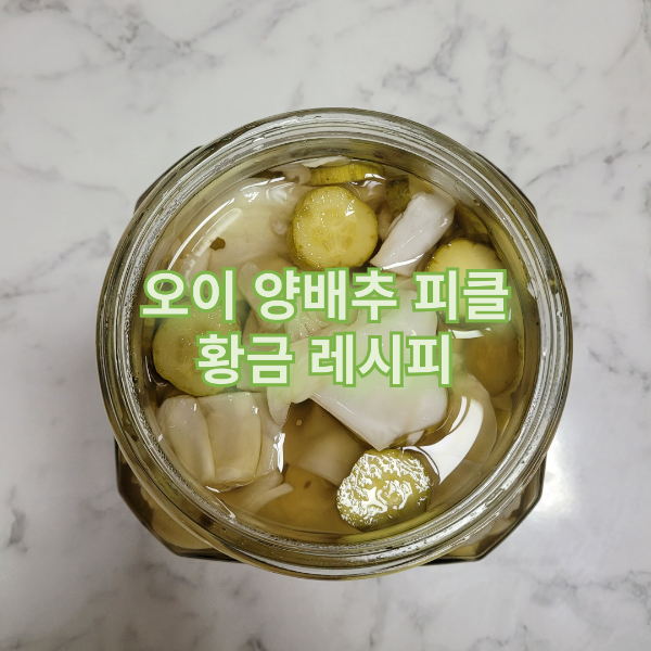  오이 양배추 피클 황금레시피 미국식 피자집st 피클