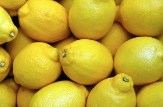 레몬 이미지 1