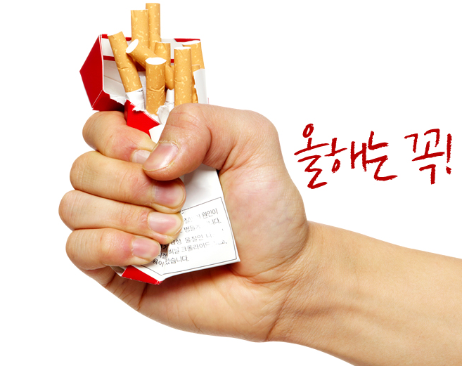  금연 성공 방법