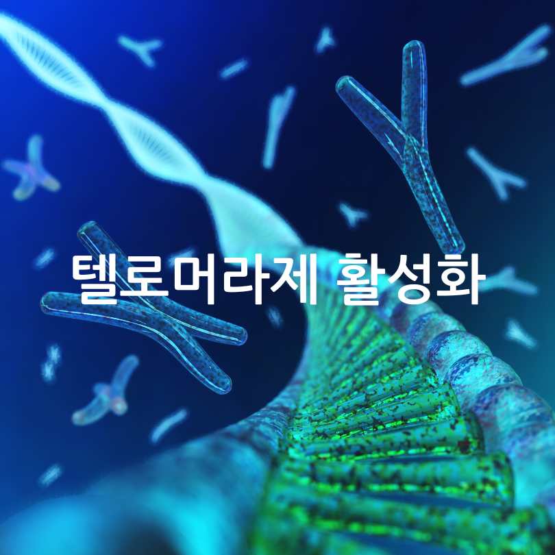 텔로미어늘이는방법