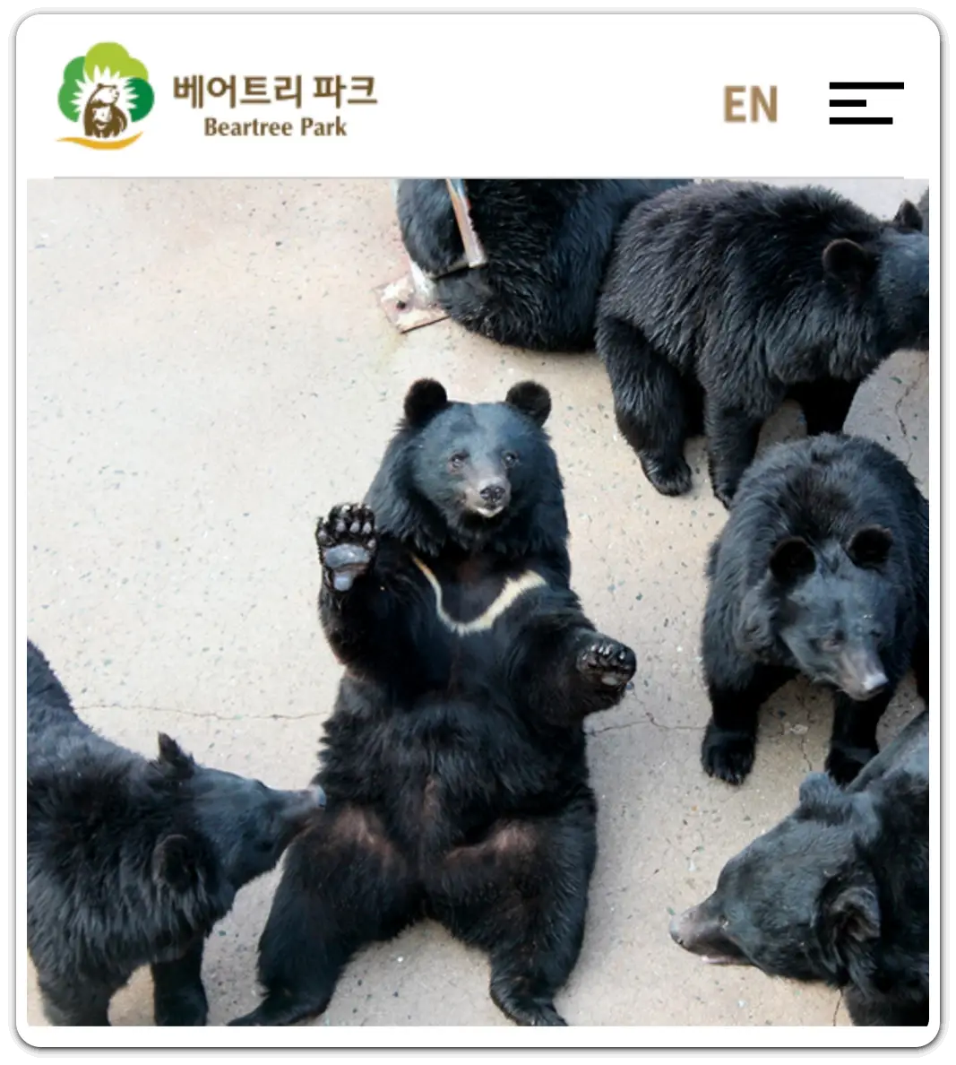 꽃-축제하는-곳-봄꽃-축제-일정