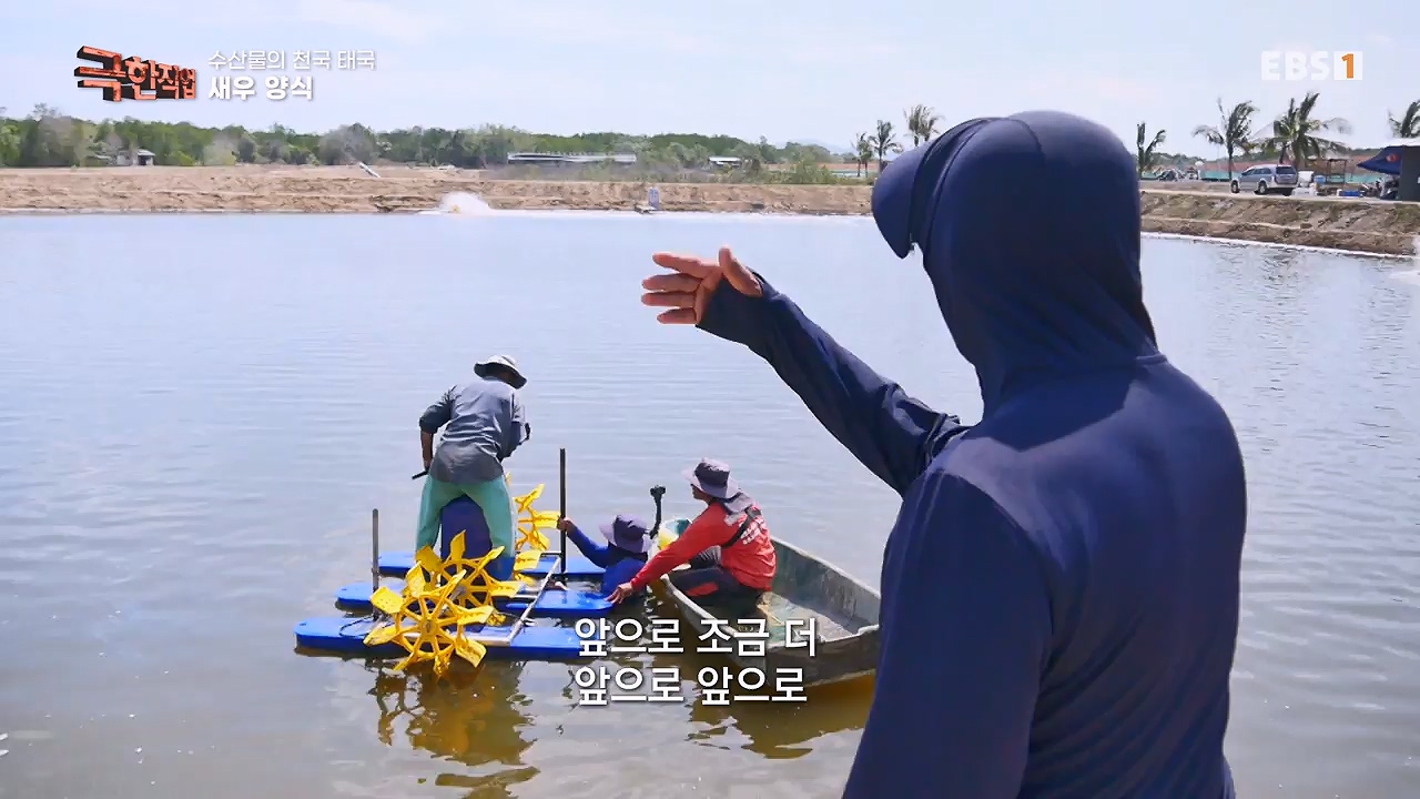 TV - 전 국민의 평생학교 EBS수산물의 천국 태국, 새우 양식과 말린 생선.mp4_20240604_201802.765.jpg