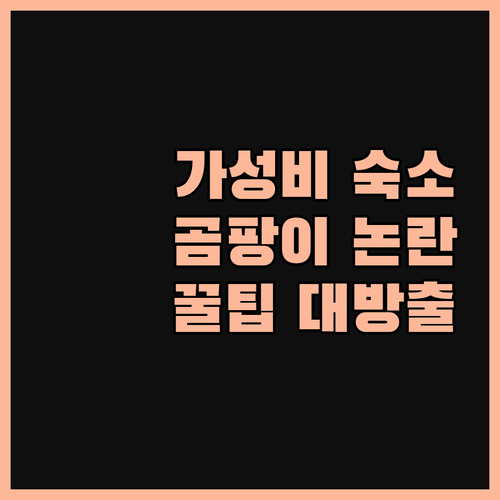 헤이 서귀포, 가성비 갑! 곰팡이 논