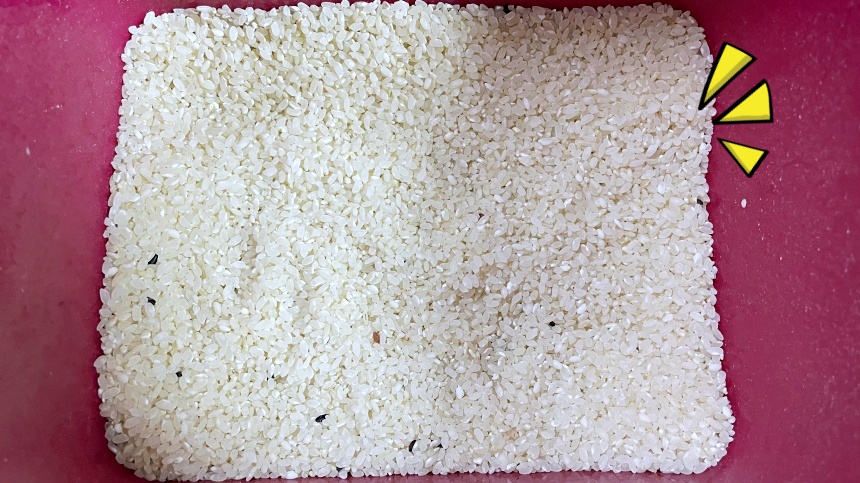 묵은쌀