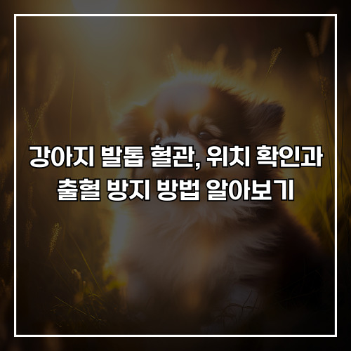 강아지 발톱 혈관, 위치 확인과 출혈 방지 방법 알아보기