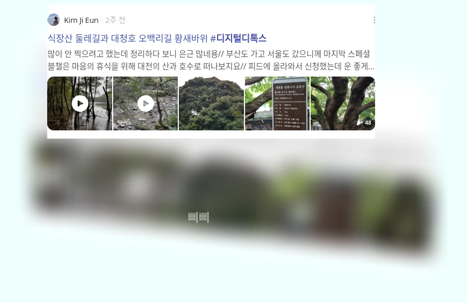 디지털 디톡스_3_subsection
