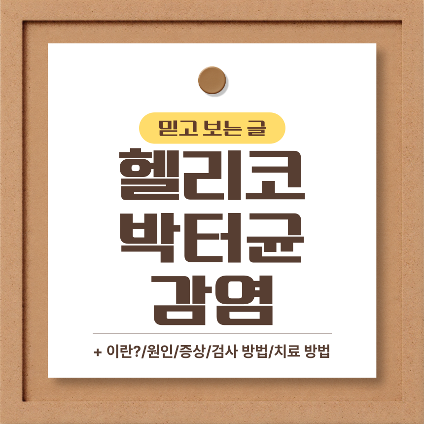  헬리코박터균 감염 알아보기