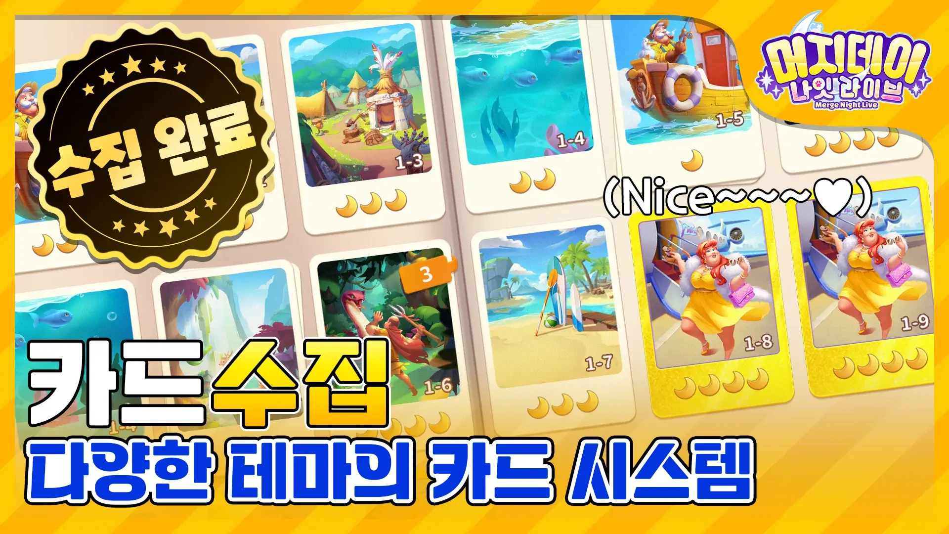 머지데이 나잇 라이브