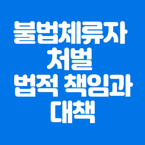 불법체류자처벌법적책임과대책-파란바탕-하얀글씨-썸네일이미지