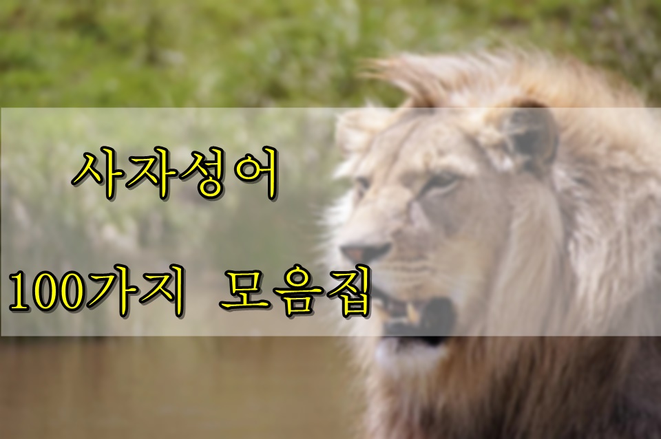  유용한 사자성어100가지 모음집